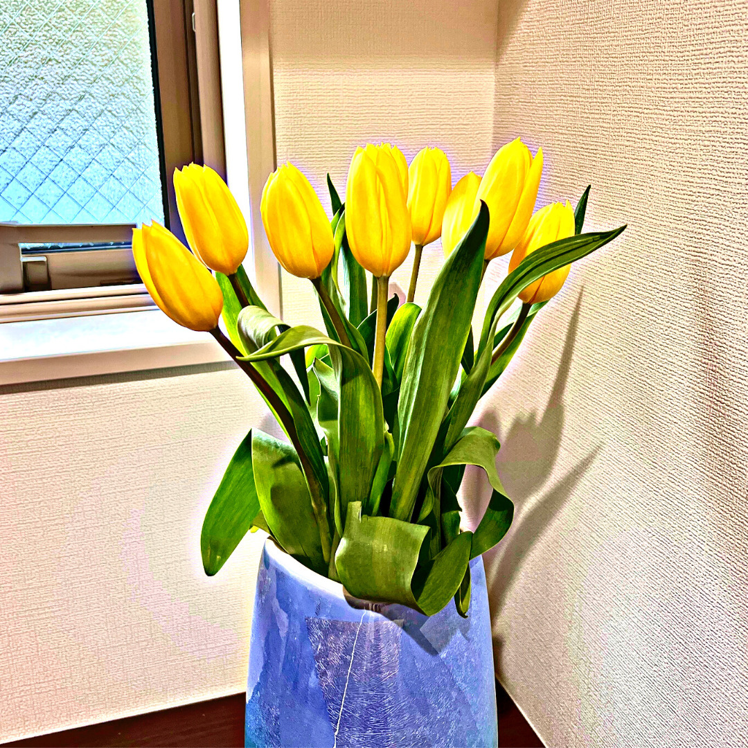 チューリップ切花を飾る