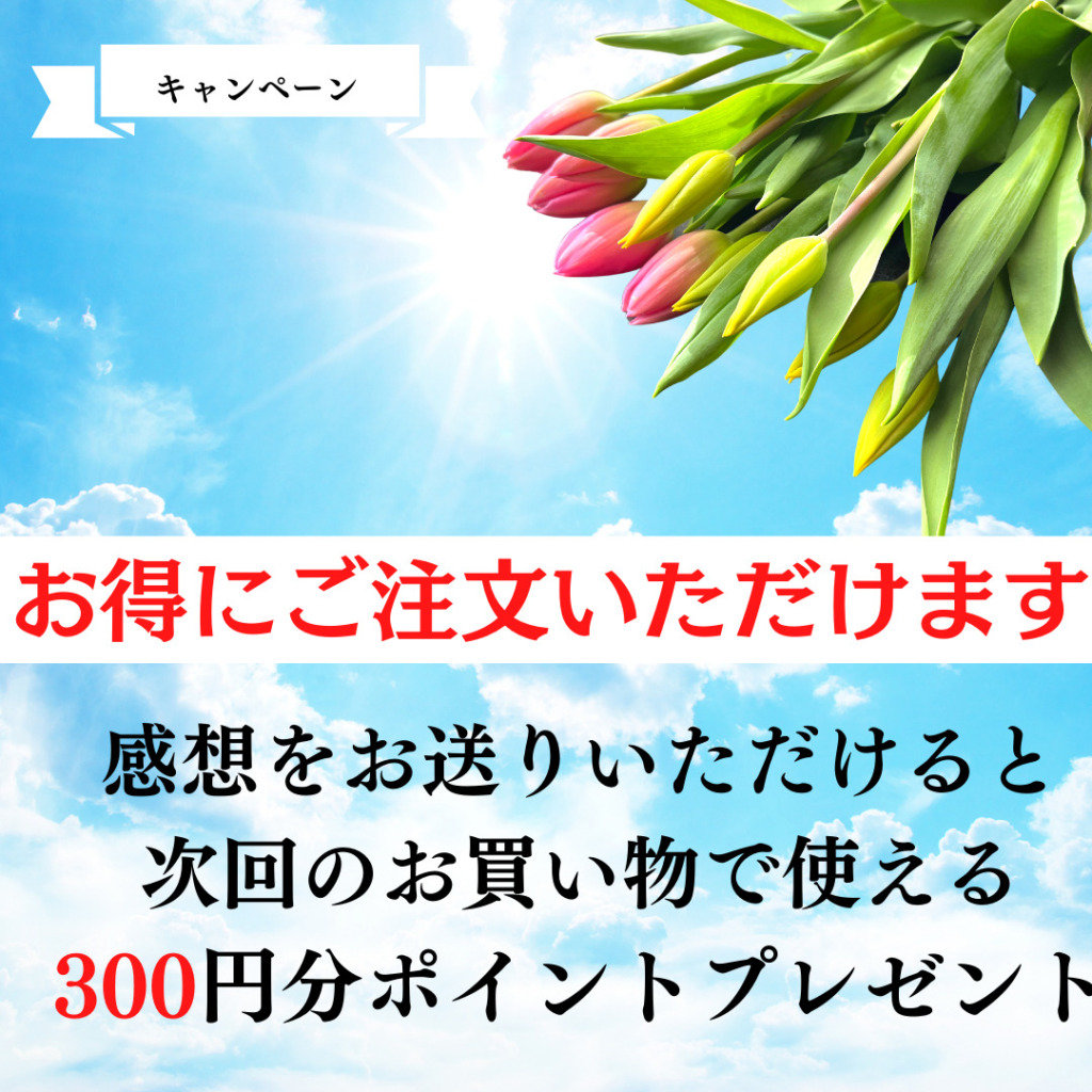 感想をお送りいただけると 次回のお買い物で使える 300円分ポイントプレゼント